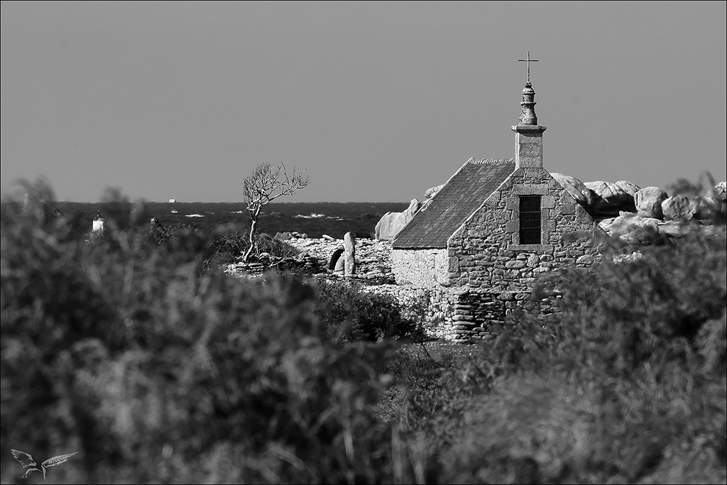 Ile de Sein _16-10-25_66.jpg