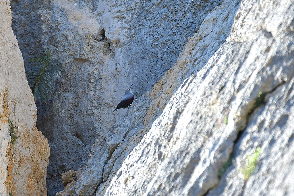 DSC_1798IN.jpg