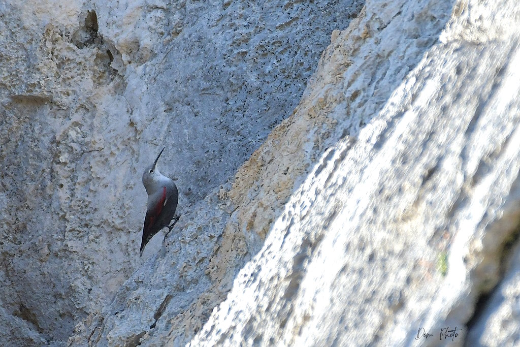 DSC_1801IN.jpg