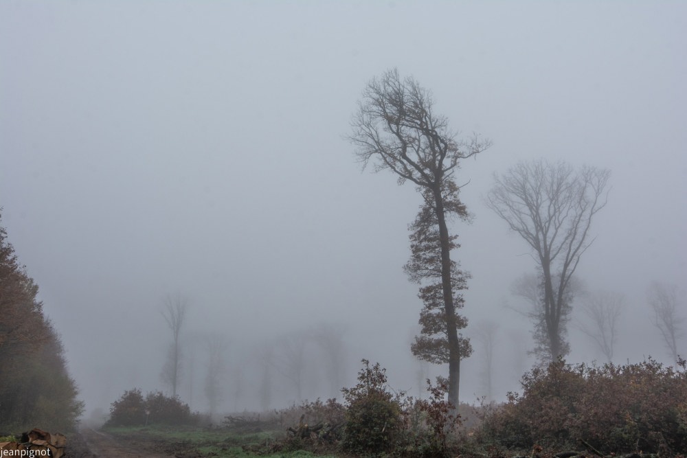 N11.JPG