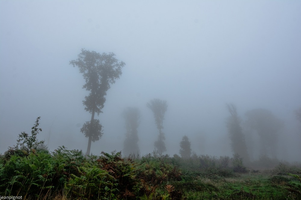 N9.JPG