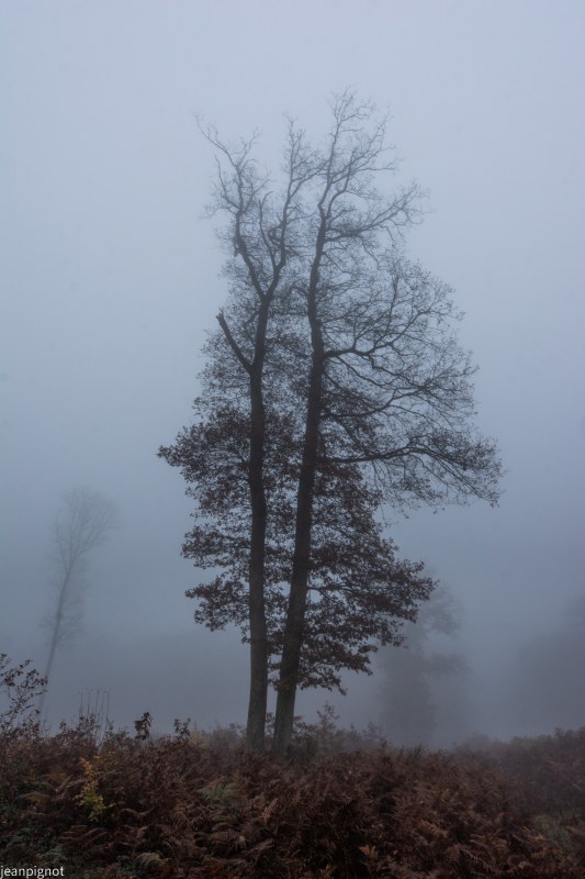 N8.JPG