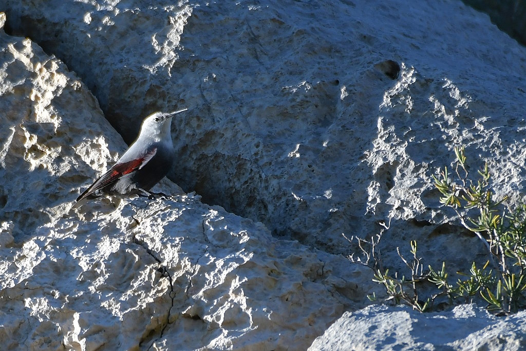 DSC_1854IN.jpg