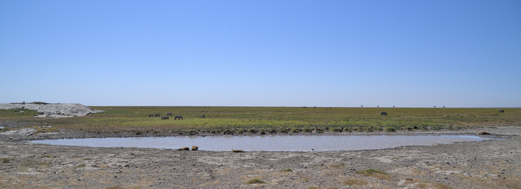 DS5_4716.jpg