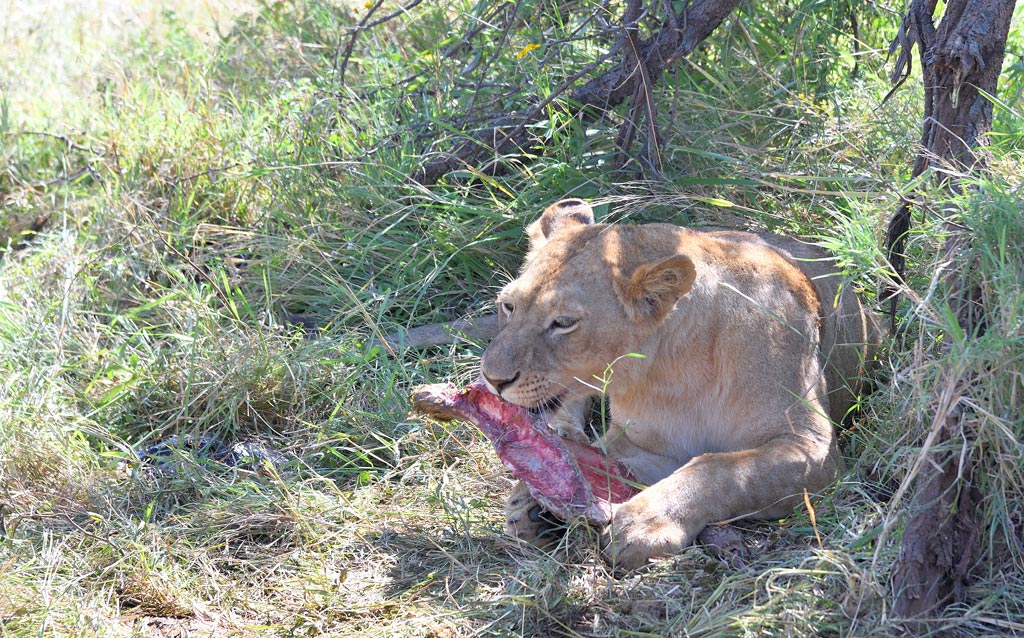 DS5_4563.jpg