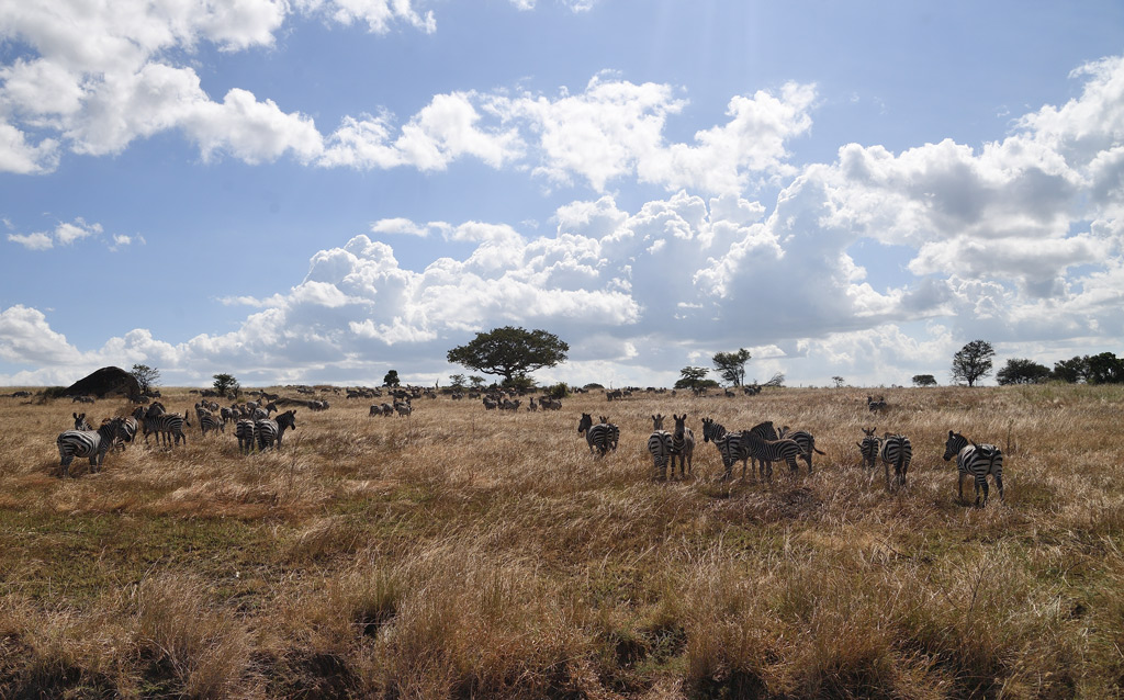 DS5_4483.jpg