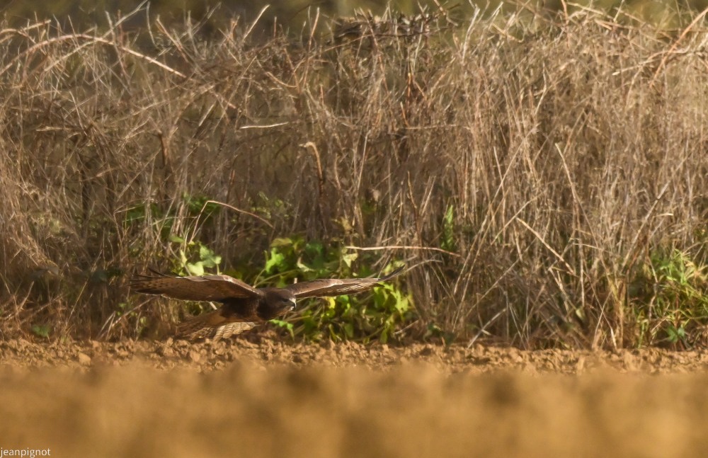 N2 buse variable.JPG