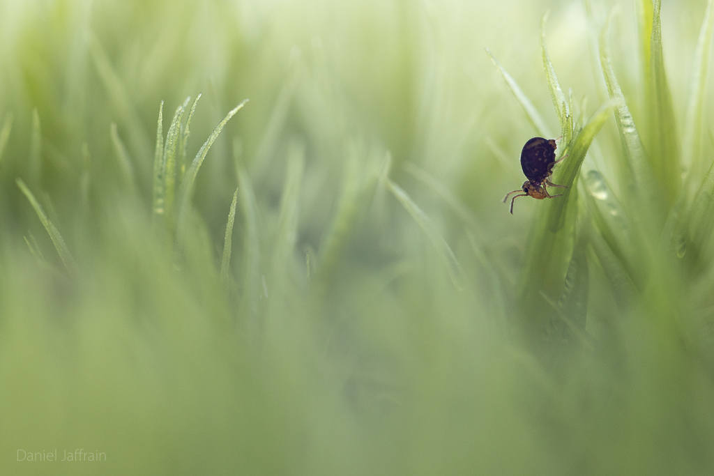 Image et Nature-1-147.jpg