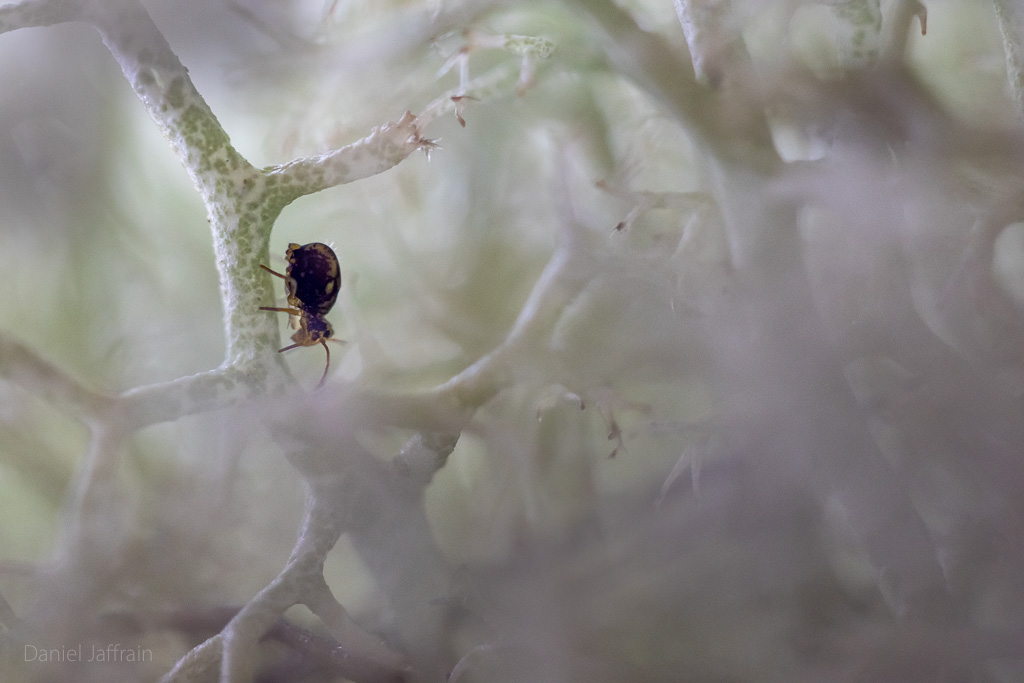 Image et Nature-1-152.jpg
