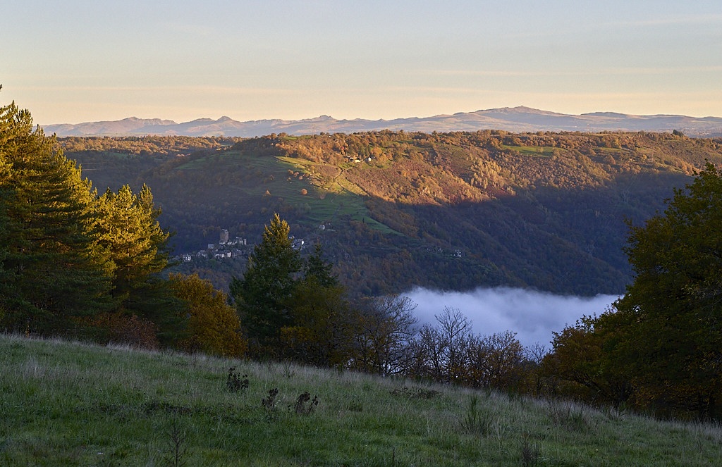 b 8450_1_06.jpg