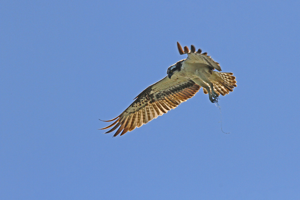 IMG_3127.JPG