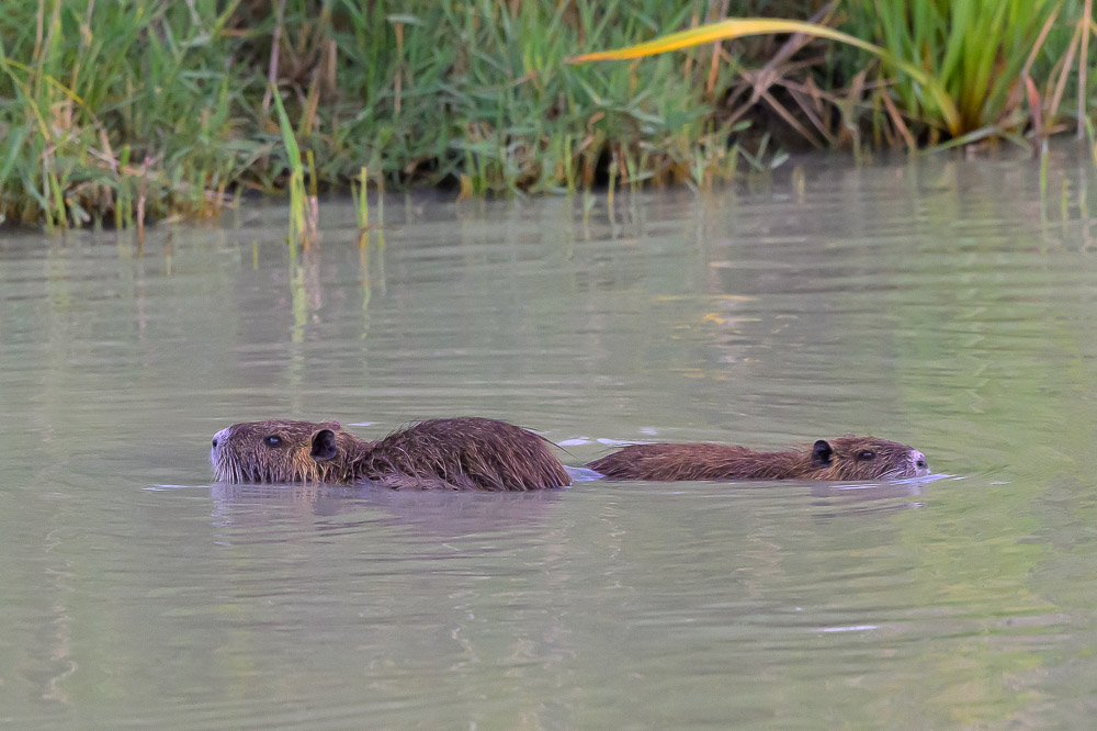 La Rochelle 2025_374.jpg