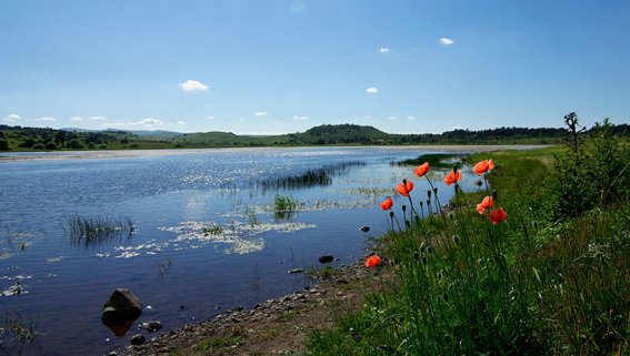 _IGP8954-copie.jpg