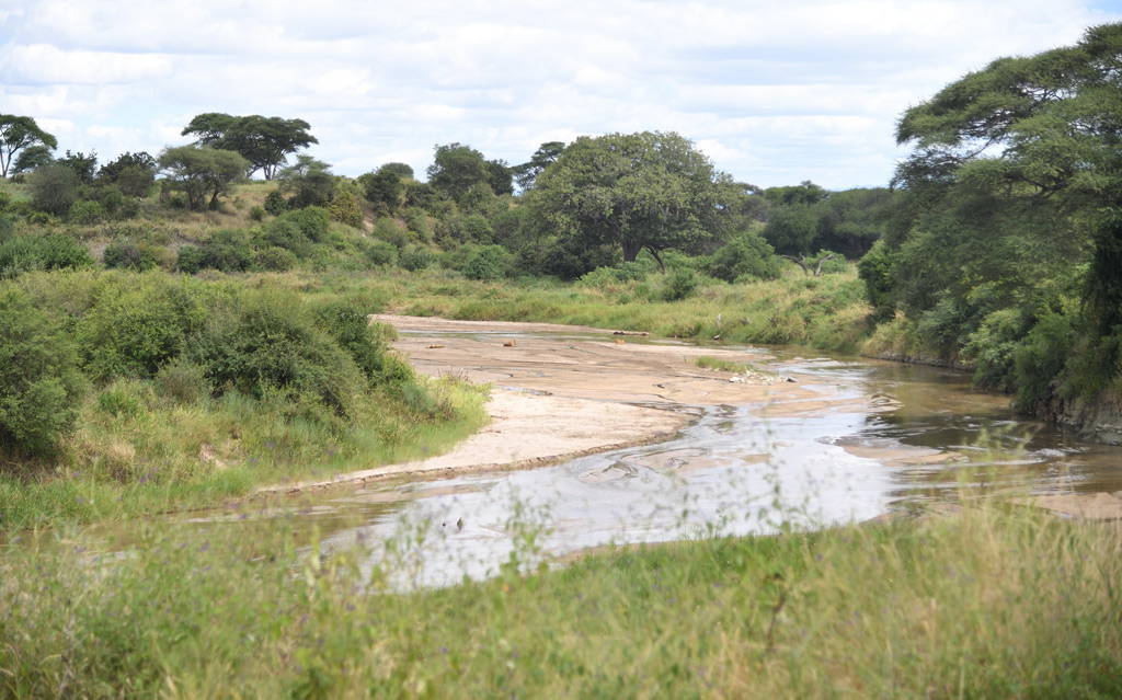 DS5_4354.jpg