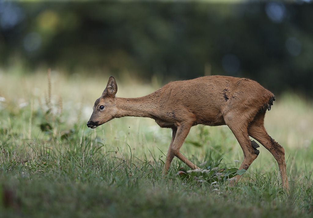 179.jpg