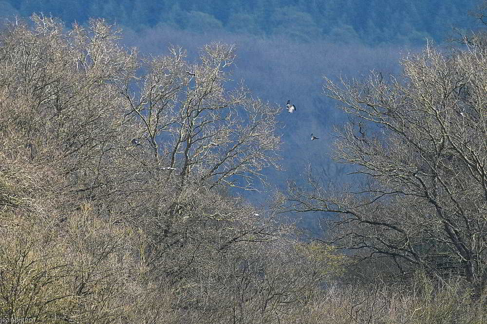 DSC_1056_001DSC_1056_05.JPG