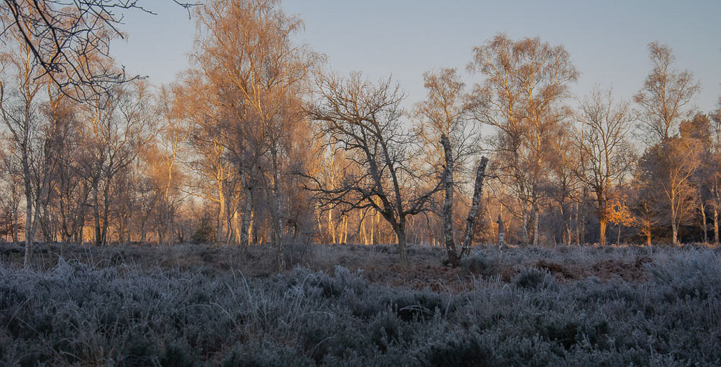 Paysage Bleau.jpg