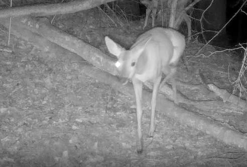 Capture d’écran,,,.png