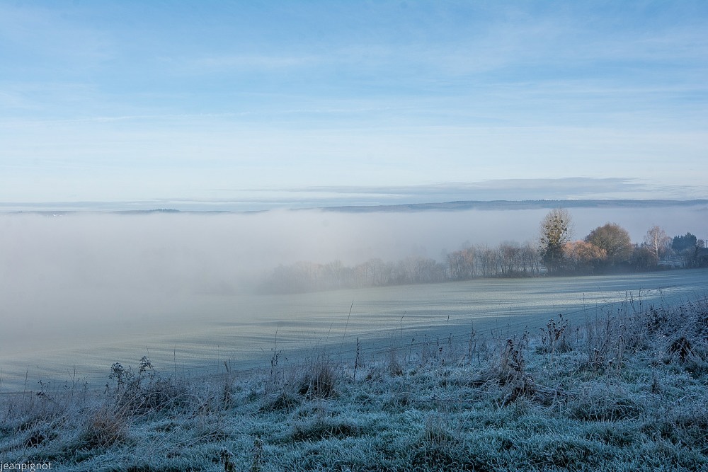 DSC_8006_001DSC_8006.JPG