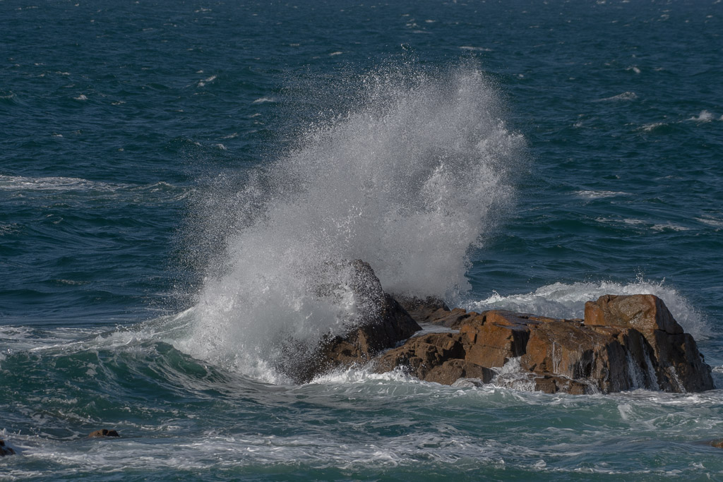 -09- Septembre 2025. Coup de vent Plougrescant.jpg