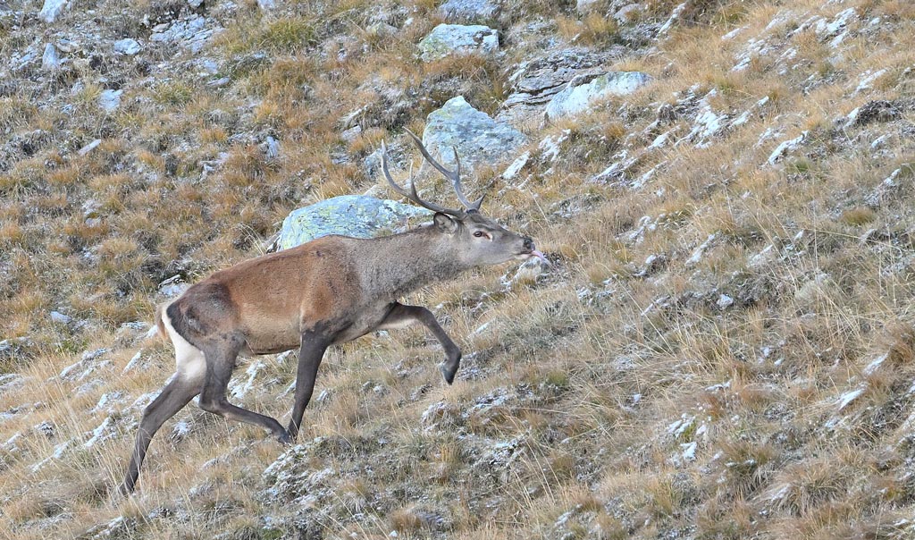 ZSC_2037.jpg