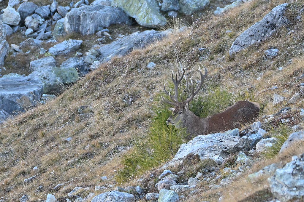 ZSC_2049.jpg