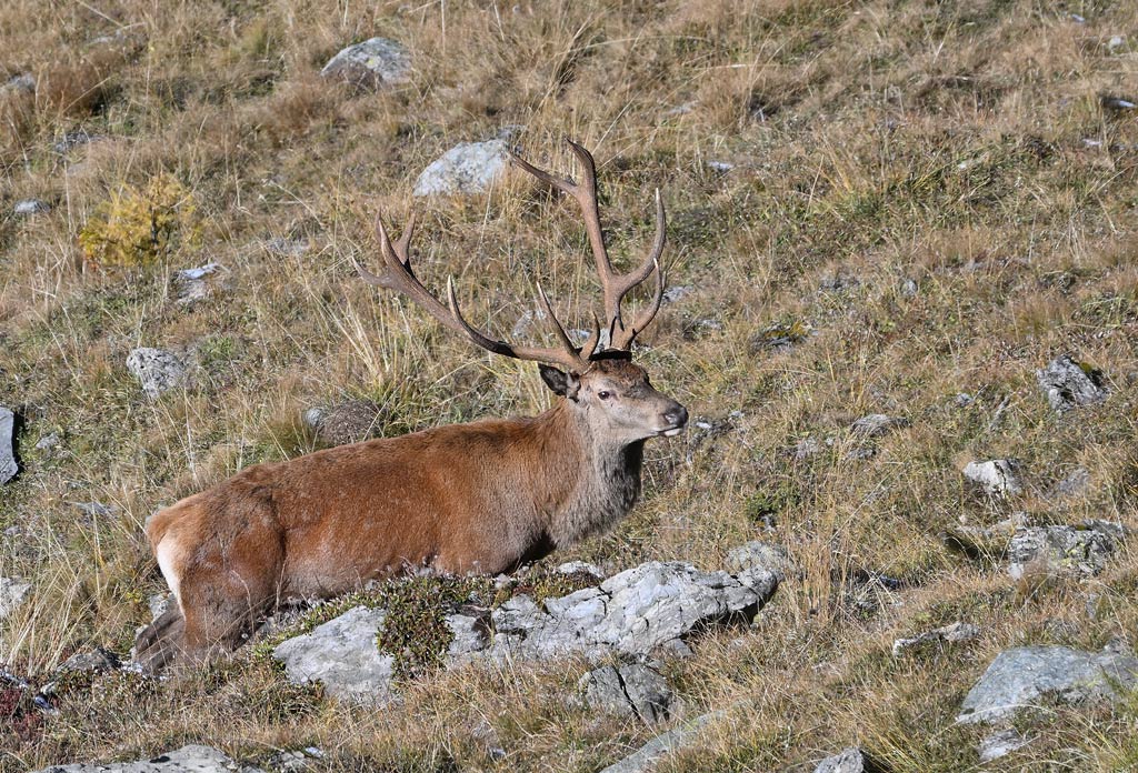 ZSC_2135.jpg