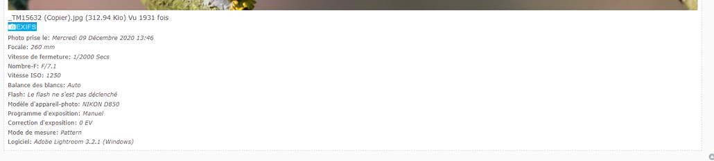 Exifs-2.jpg