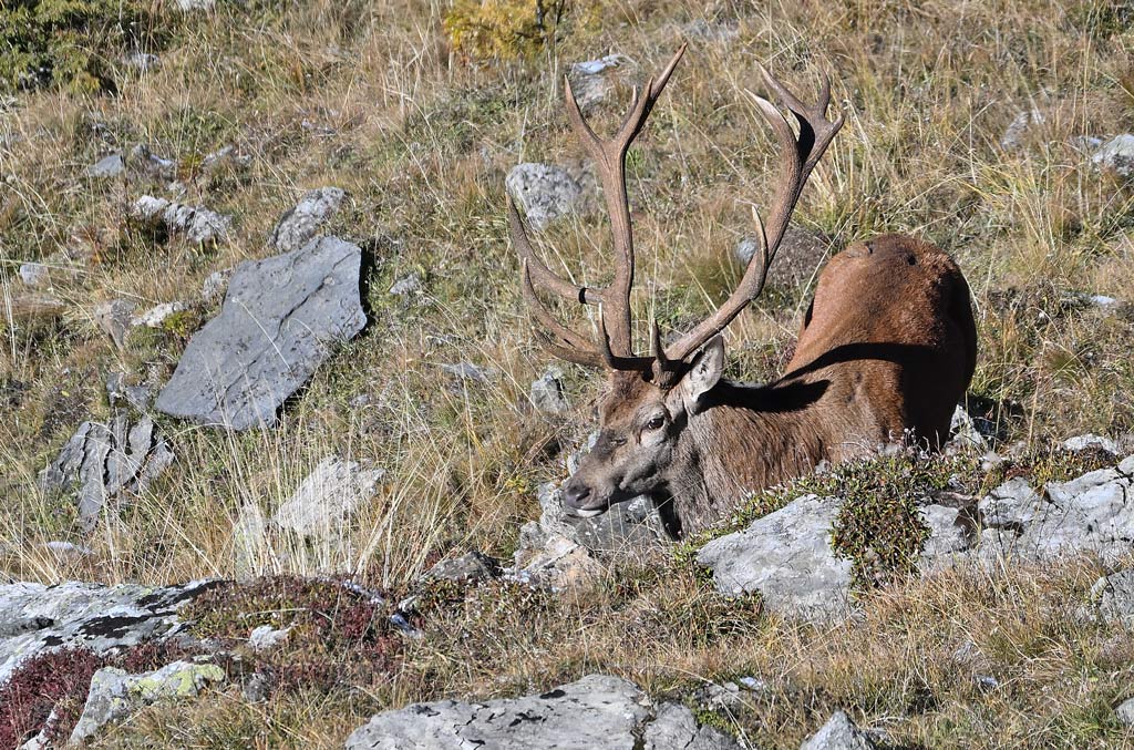 ZSC_2140.jpg
