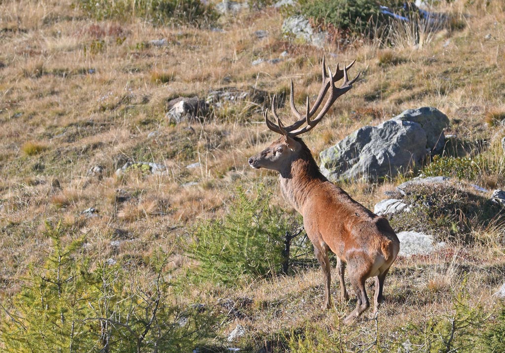 ZSC_2258.jpg