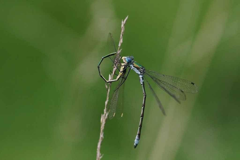 12 IMG_2102X.JPG