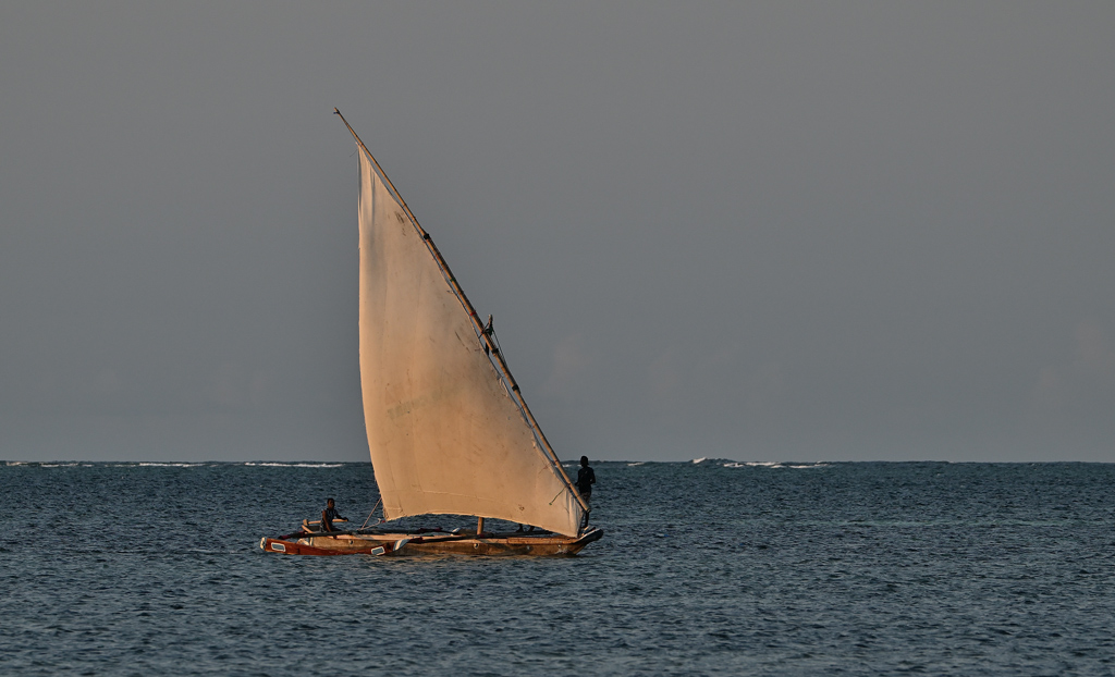 ZSC_0280.jpg