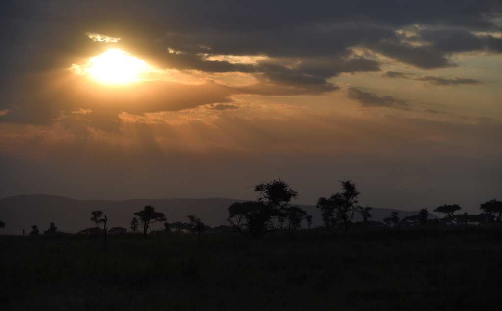 DS5_4758.jpg