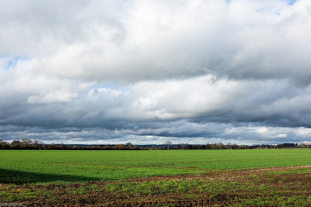 N1.JPG