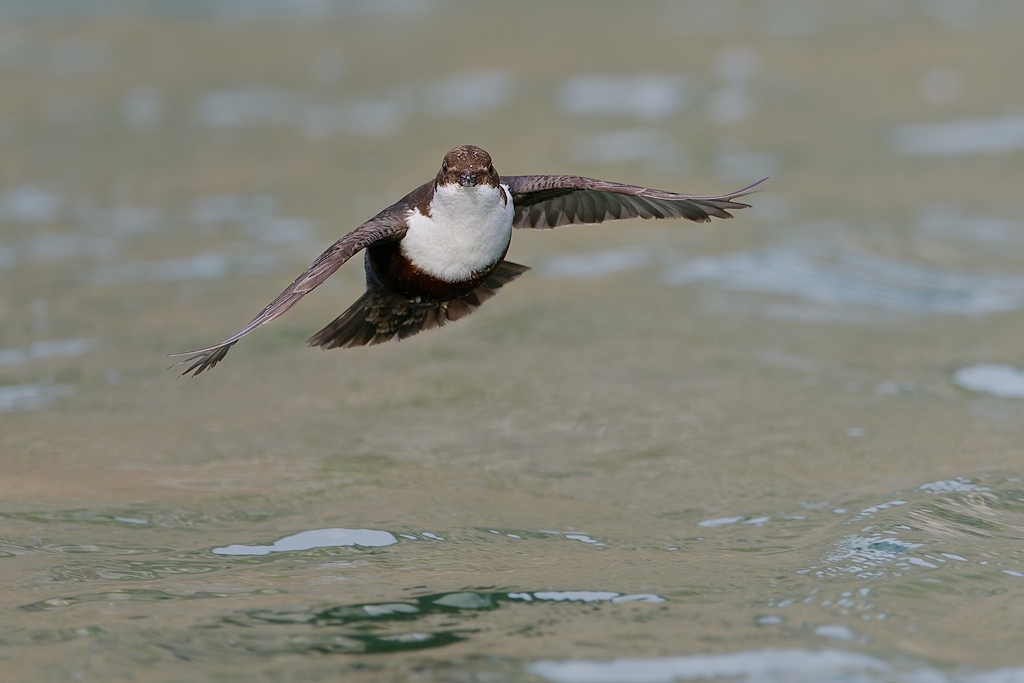 3DSC_0998_DxO.jpg
