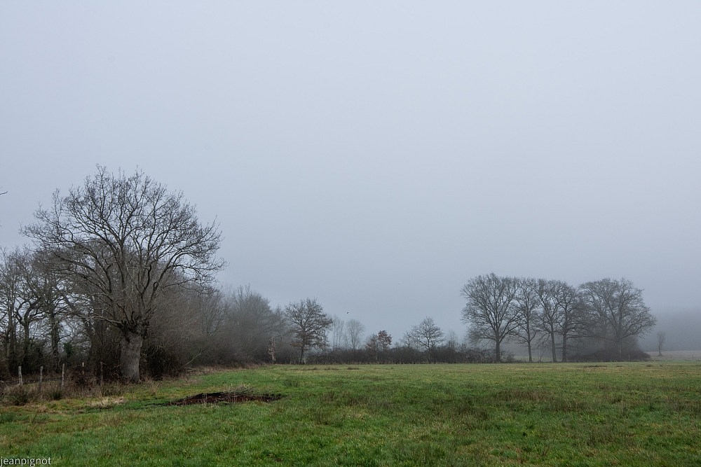N5.JPG