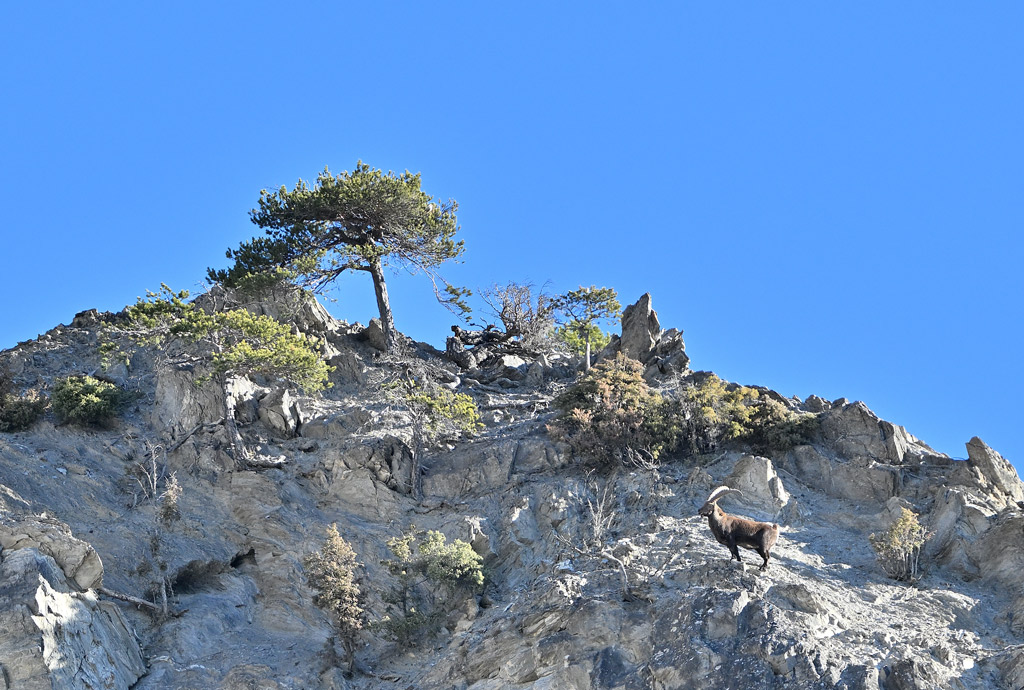 ZSC_4829.jpg