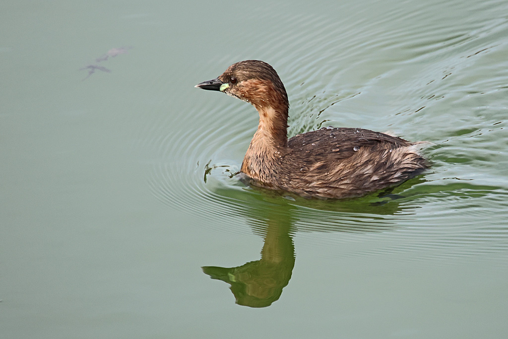 BQ8A5717.JPG