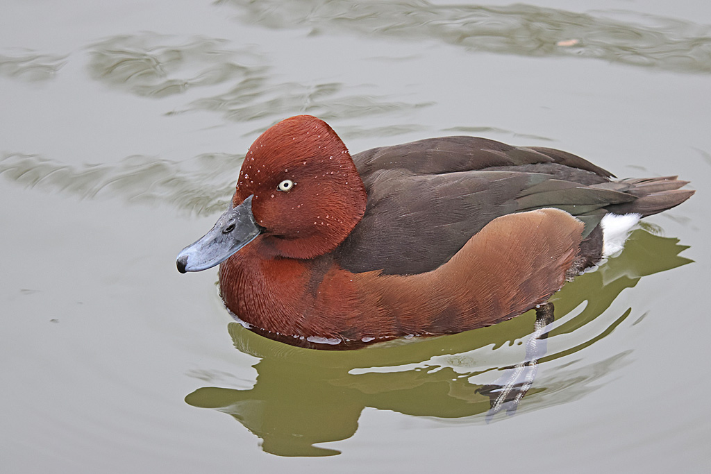 BQ8A7984.JPG