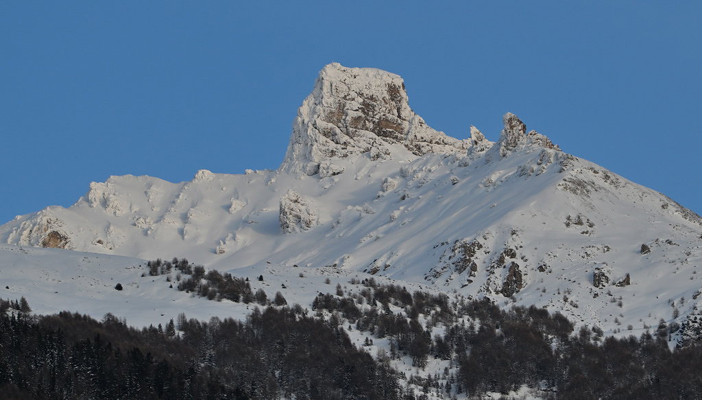 ZSC_5192.jpg