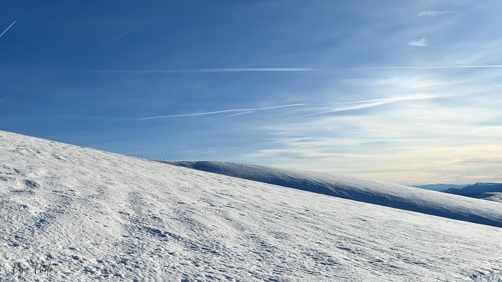 DSC_8488-001IN2.jpg