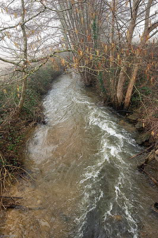 N8 un ruisseau.JPG
