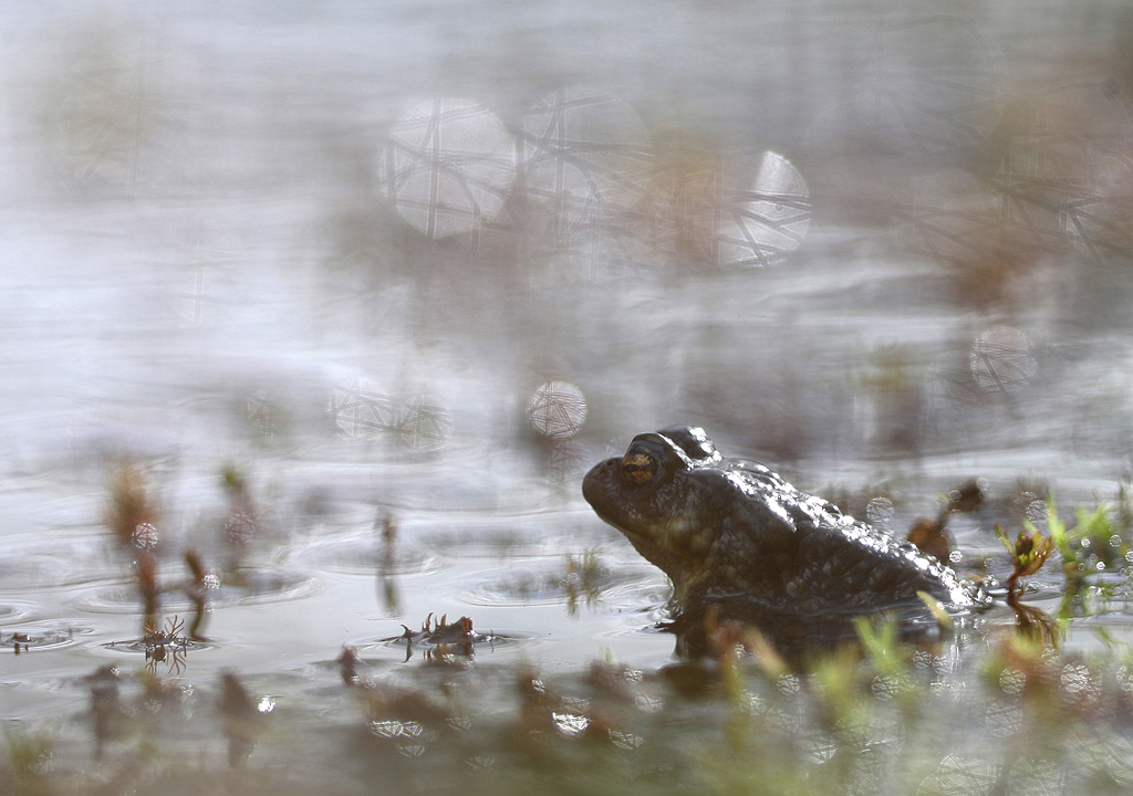 278.jpg
