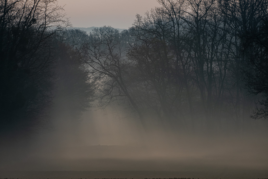 Brume du matin.jpg