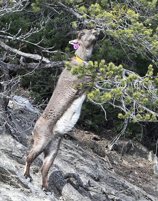 DSC_5881.jpg