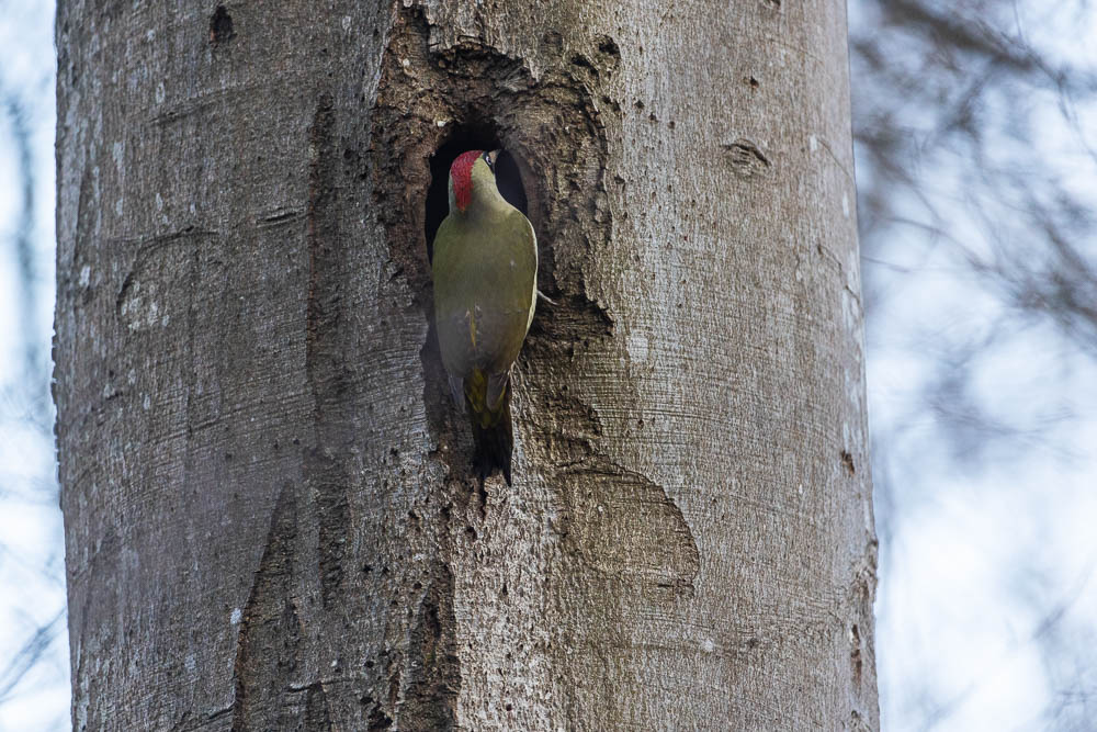 IMG_1374.jpg