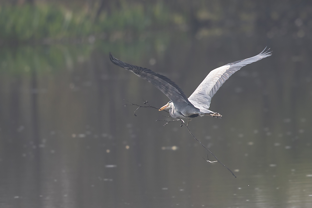 C57I7204.jpg