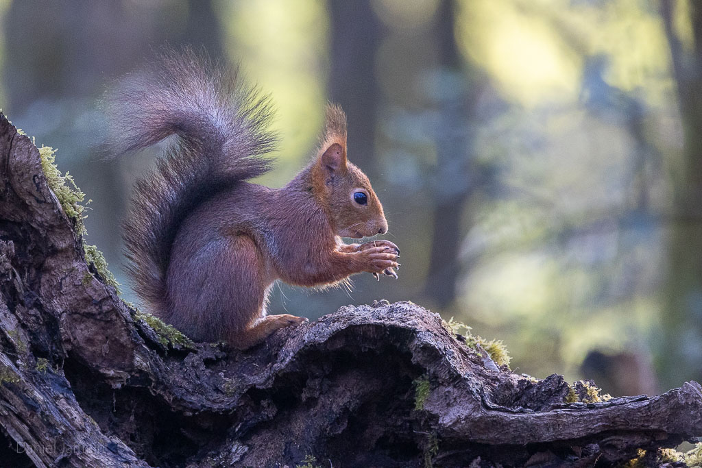 Image et Nature-1-13.jpg