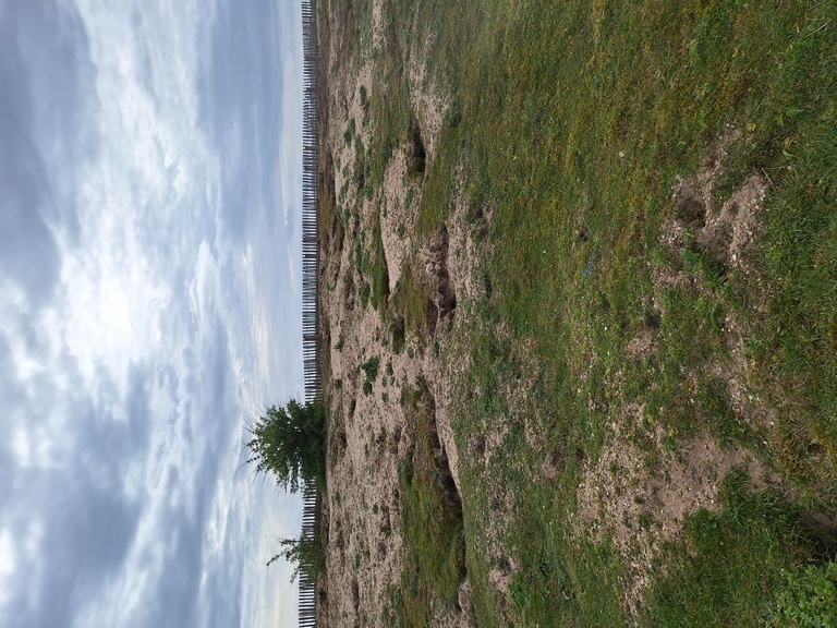 20260329_165716 (1).jpg