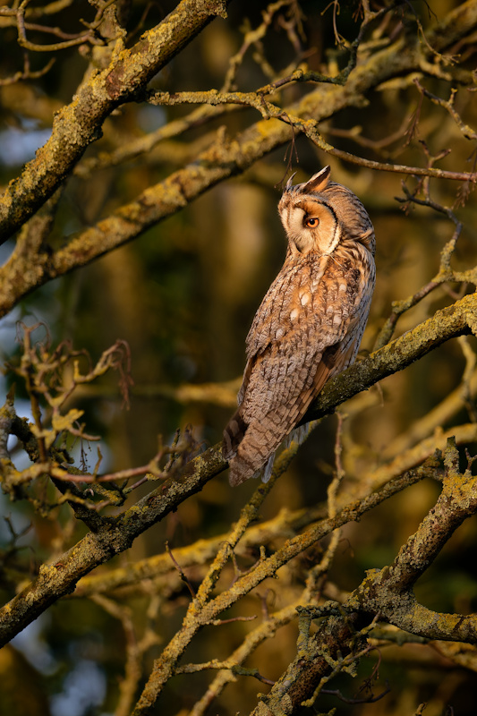 DSC_7051_DxO_1.jpg